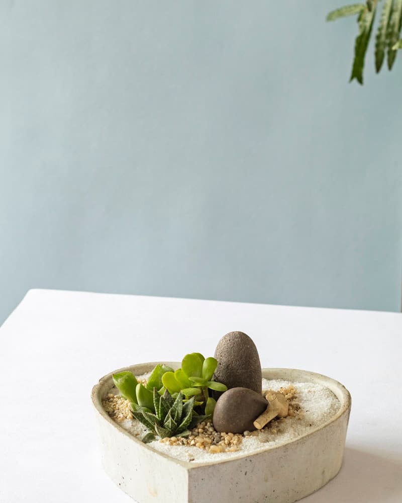 Mini jardim de suculentas em bowl cerâmico claro com areia e pedras